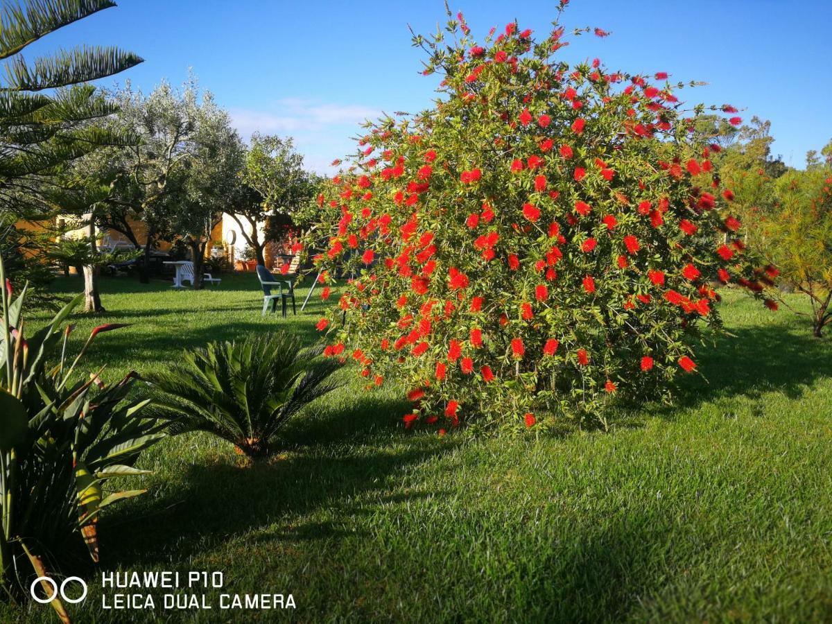 B&B Fiori Di Pesco Фертилия Экстерьер фото